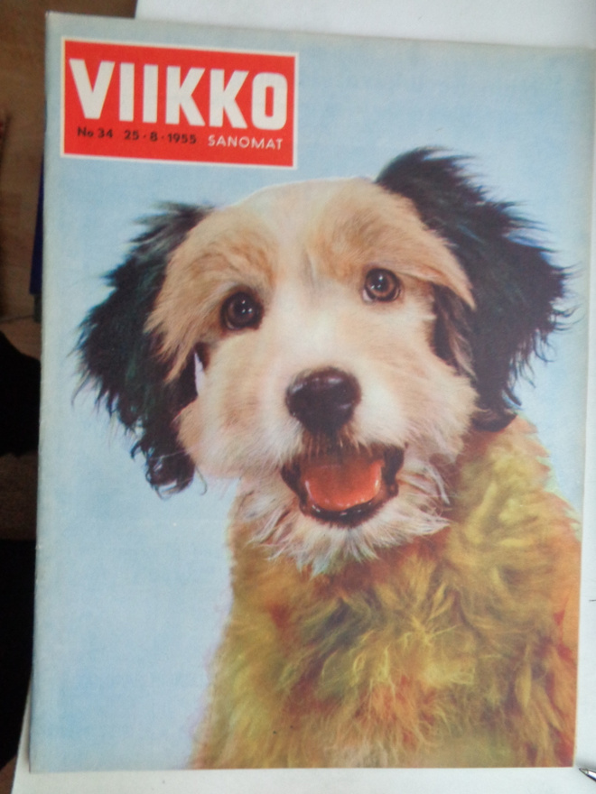 Viikkosanomat Nro 34/1955 (25.4)