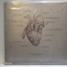 KATATONIA - THE FALL OF HEARTS M-/M LP + NIMMARIT - pikkukuva 2