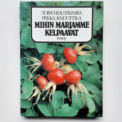 Rautavaara – Knuuttila: Mihin marjamme kelpaavat