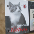 Gibraltar 1997: kissanpentuja pienoisarkki - pikkukuva 3