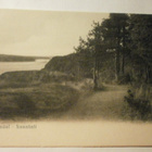 Naantali, rantanäkymä, hiekkatie mäntymetsässä n 1910, ei p. - pikkukuva 1