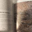 Jokamiehen geologia - pikkukuva 5