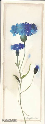 MINNA IMMONEN 5043 RUISKUKKA