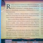 Indokiina DVD - pikkukuva 3