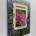 Climbing plants - Flowers & plants - pikkukuva 1