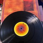 Joe Walsh: So What 1974 LP - pikkukuva 3