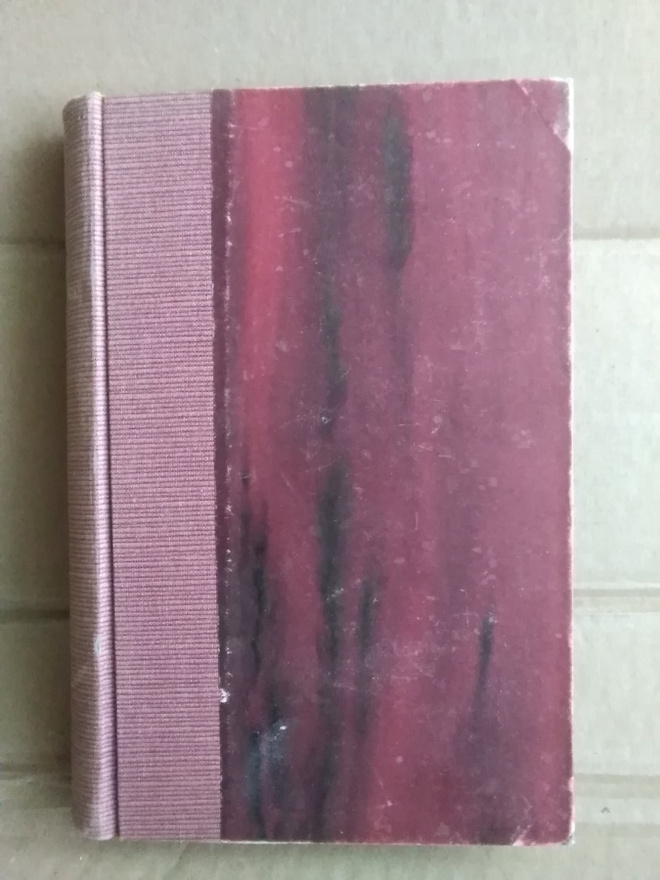 R. L. Stevenson: Ballantrae -talvinen tarina-