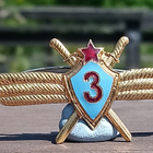 CCCR - Ilmailumerkki. 3 Luokka. Emalinen. Halkaisija - 71 mm - pikkukuva 2