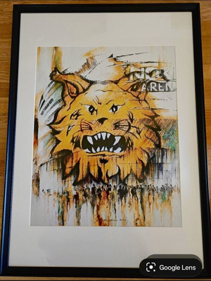 Tampereen Ilves