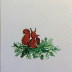 Virpi Pekkala - Höyhensaarilla tk - pikkukuva 2