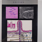 Michael H. Ross : Histology : a text and atlas - pikkukuva 2