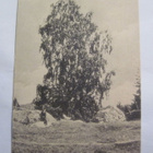 VANHA Postikortti Lohja Vaanila 1900-luku - pikkukuva 1