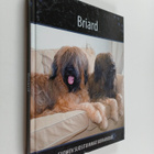 Briard - pikkukuva 1