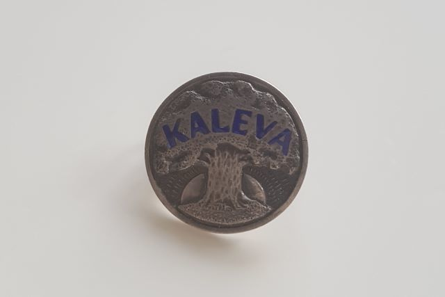 Kaleva hopeinen rintakoru sininen 1963