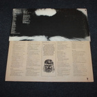 Laurie Kaye Cohen - Under The Skunk LP 1973 - pikkukuva 2