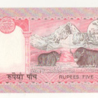 Nepal 5 rupia 1985 pakkasileä - pikkukuva 2