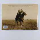 Edward S. Curtis : Pohjois-Amerikan intiaanit : Edward S.... - pikkukuva 2