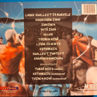 Kilpi - Kaaoksen kuningas - pikkukuva 2