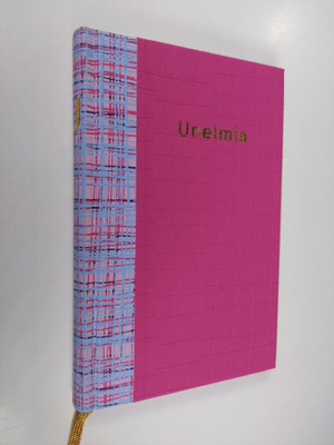 Eeva (piirrokset) Lehtinen : Unelmia