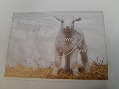 Rauhallista Joulua! Karitsa
