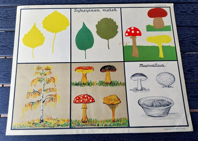 Opetustaulu Tilgmann n. 41,2 x 32,5 cm Syksyinen metsä sieni