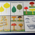 Opetustaulu Tilgmann n. 41,2 x 32,5 cm Syksyinen metsä sieni - pikkukuva 1