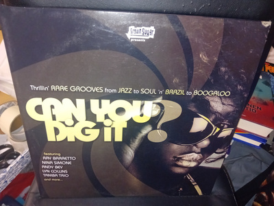 2LP CAN YOU DIG IT ( SIS POSTIKULU )