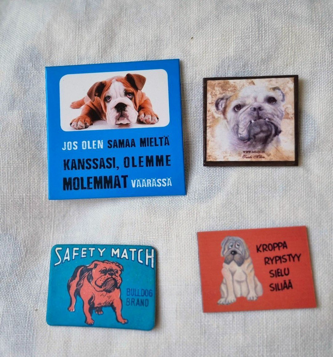 Englanninbulldoggi jääkaappimagneetteja