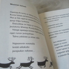 Telma ja taikojen talvi - Mila Teräs - pikkukuva 4
