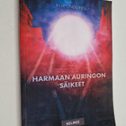 Ville Lindgren : Harmaan auringon säikeet (signeerattu) - pikkukuva 1