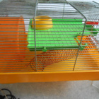 Hamsterin/hamsterien häkki. - pikkukuva 3