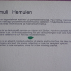 Hemuli ja suurennuslasi - pikkukuva 2
