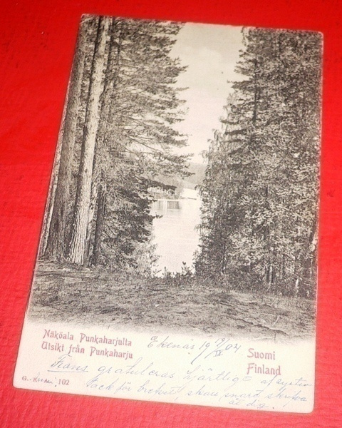 Näköala Punkaharjulta v. 1904   (K7)