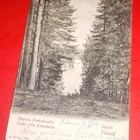 Näköala Punkaharjulta v. 1904   (K7) - pikkukuva 1