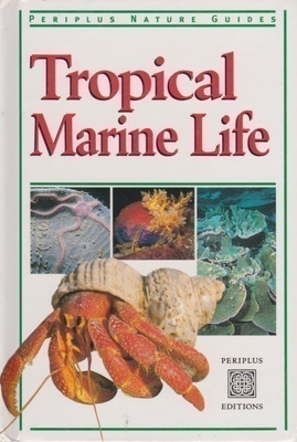 Tropical Marine Life