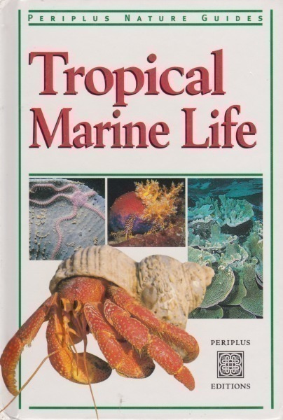 Tropical Marine Life