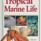 Tropical Marine Life - pikkukuva 1