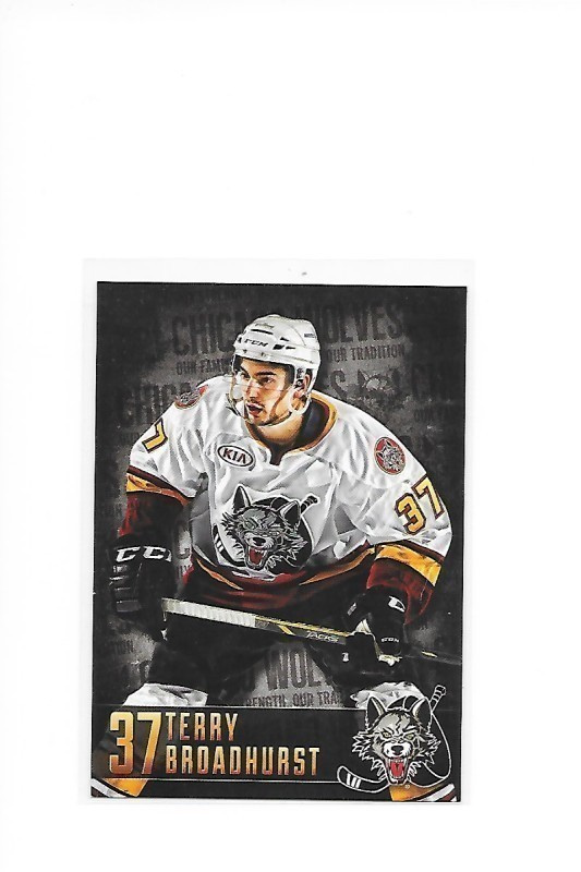 2014-15 Chicago Wolves #37 Terry Broadhurst KooKoo farmi