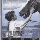 Ihana seikkailu (DVD) - pikkukuva 2