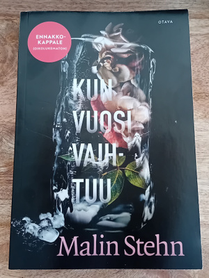 Malin Stehn - Kun vuosi vaihtuu
