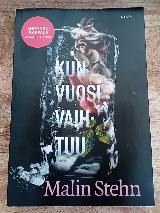 Malin Stehn - Kun vuosi vaihtuu