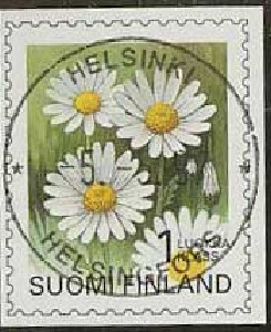 1995 päivänkakkara Helsinki -97 loisto