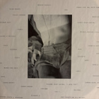Wendy & Lisa - Fruit at the bottom LP - pikkukuva 4