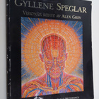 Ken Wilber : Gyllene speglar - pikkukuva 1