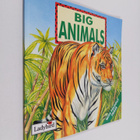 Mary Gribbin : Big animals - pikkukuva 1