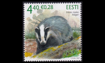 Eesti 579 ** Mäyrä (2007)