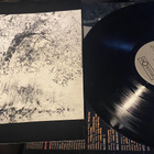 Ginger Baker: Horses and Trees 1986 LP - pikkukuva 4