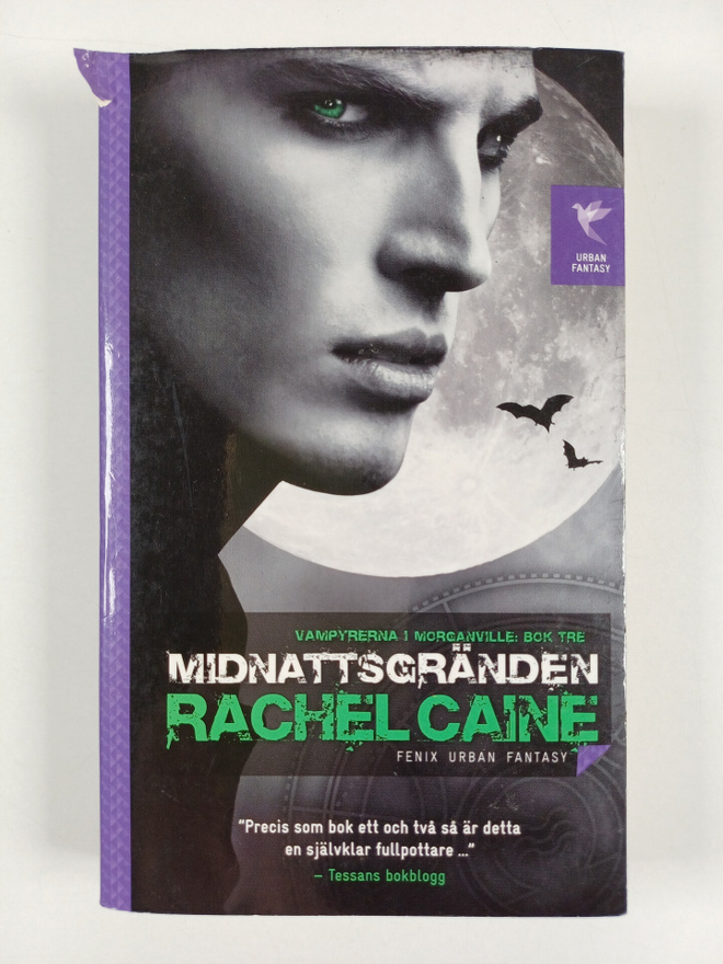 Rachel Caine : Midnattsgränden
