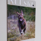 Nuusku 2/2016 - pikkukuva 1