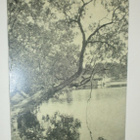 Heinola, Tsaarinpoppeli, rantarakennus, mv pk, p. 1921 - pikkukuva 1
